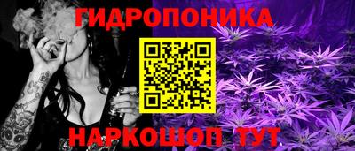 a pvp Новокубанск
