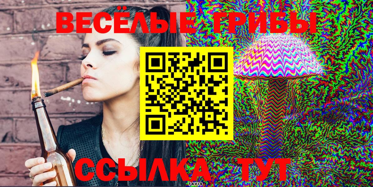 Псилоцибиновые грибы Psilocybine cubensis  Вход с VPN  Галлюциногенные грибы мухоморы  Полысаево 