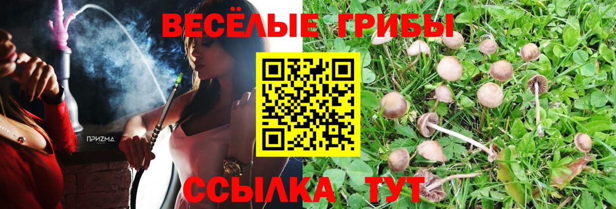 Галлюциногенные грибы ЛСД Полысаево